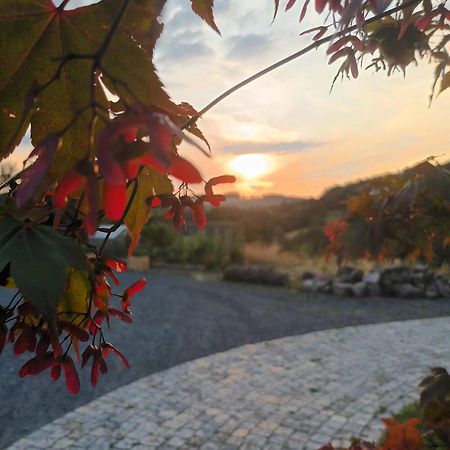 Rhoen-Hotel Sonnenhof - Restaurant & Cafe Poppenhausen Εξωτερικό φωτογραφία