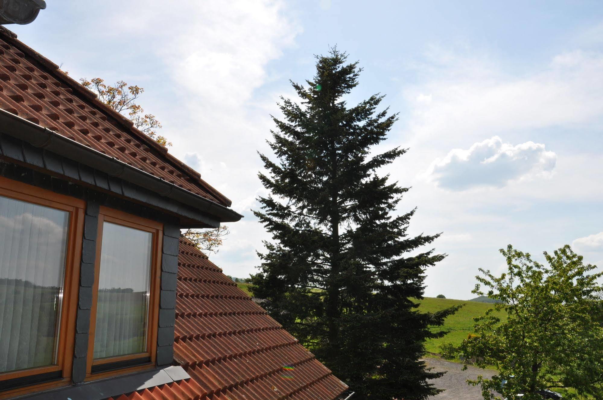 Rhoen-Hotel Sonnenhof - Restaurant & Cafe Poppenhausen Εξωτερικό φωτογραφία